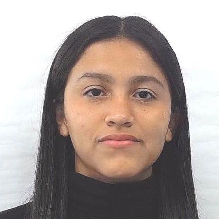 Foto de Persona 3